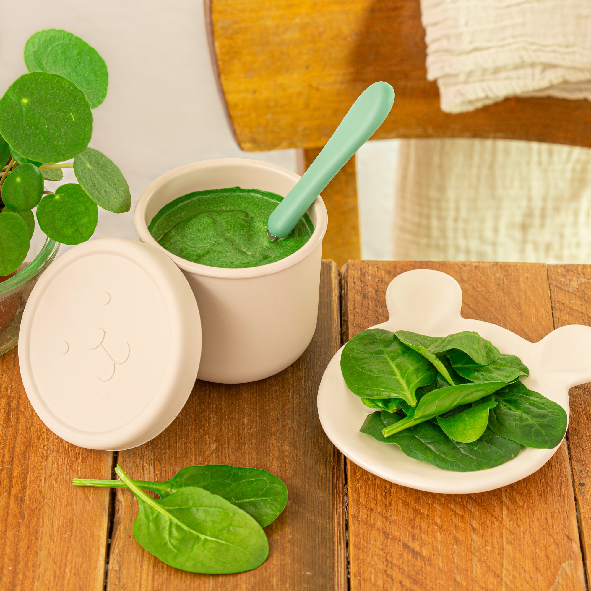 Nutricia, purée épinards