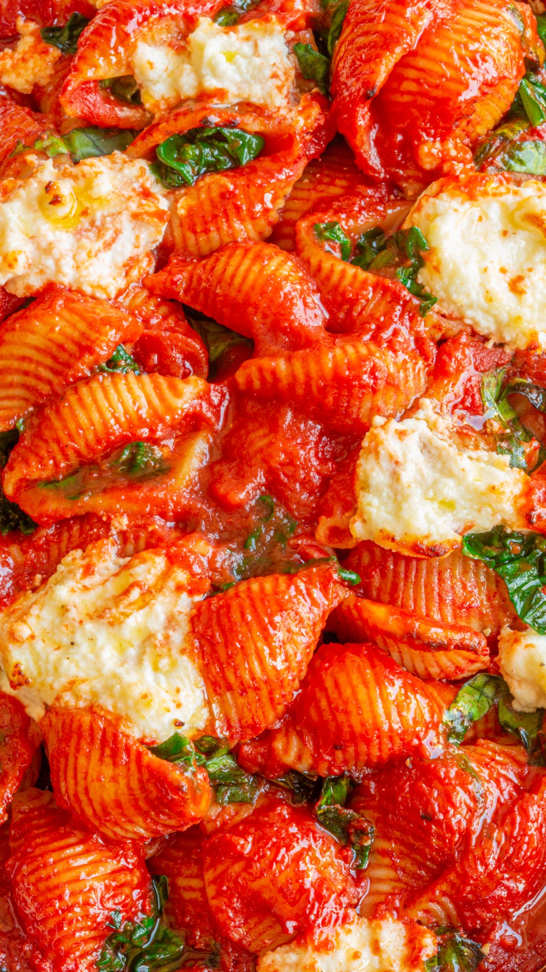 Panzani, macro coquillages sauce tomate ricotta