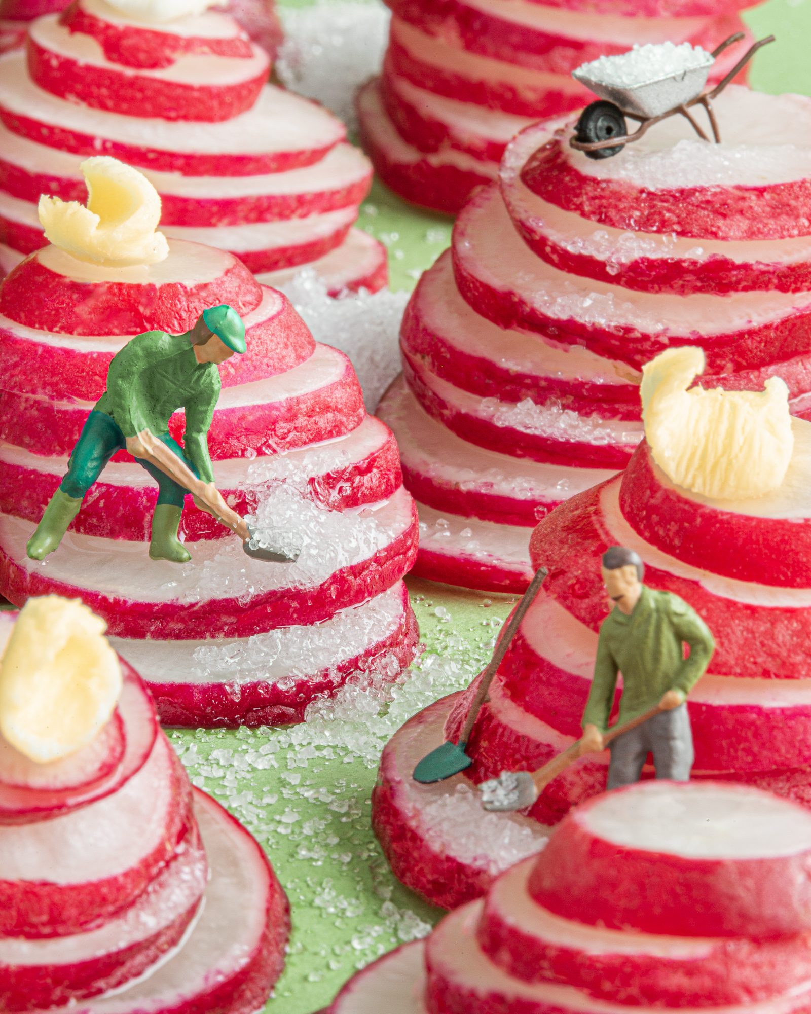 Priméale, miniature world radis beurre